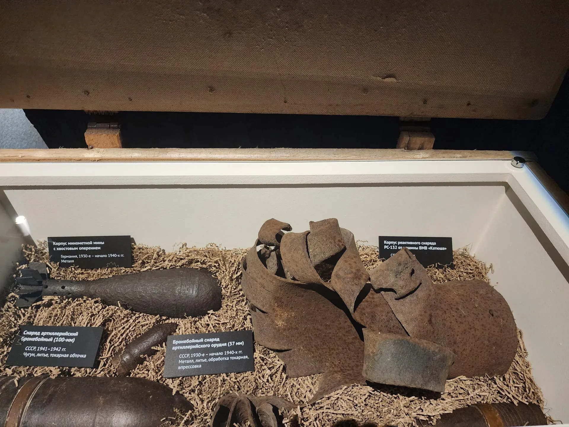 Фото: Хавива Фонина