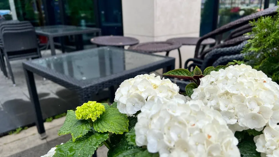 Фото: REGIONS/Елена Фурман