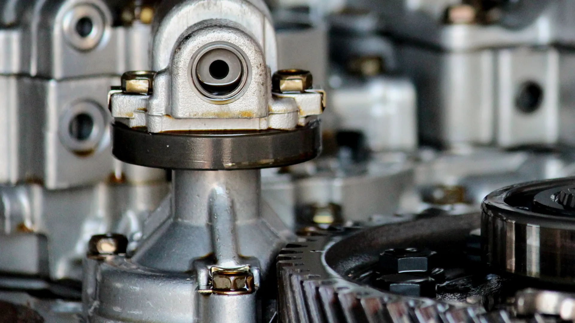 Фото: pxhere.com