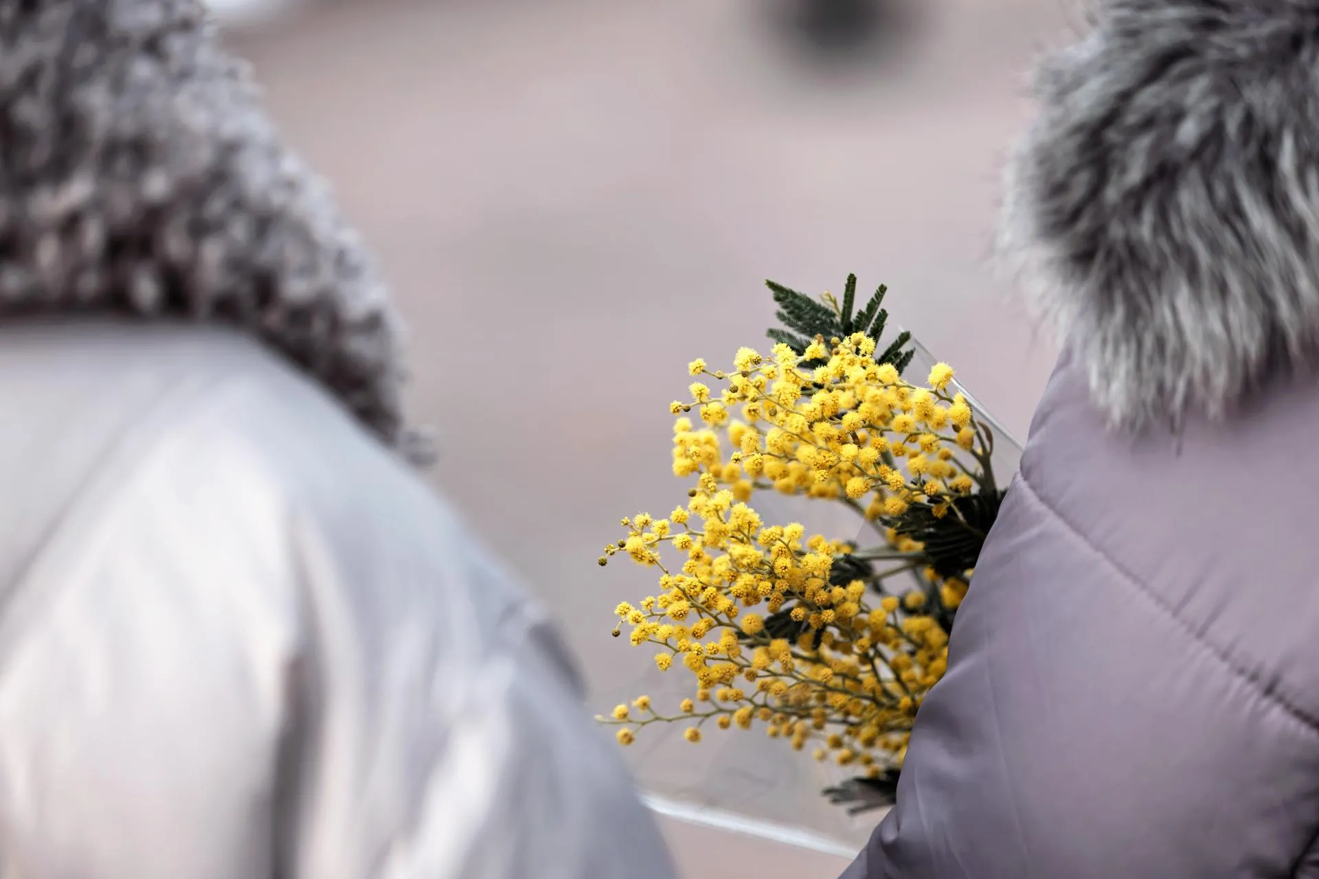 медиасток.рф