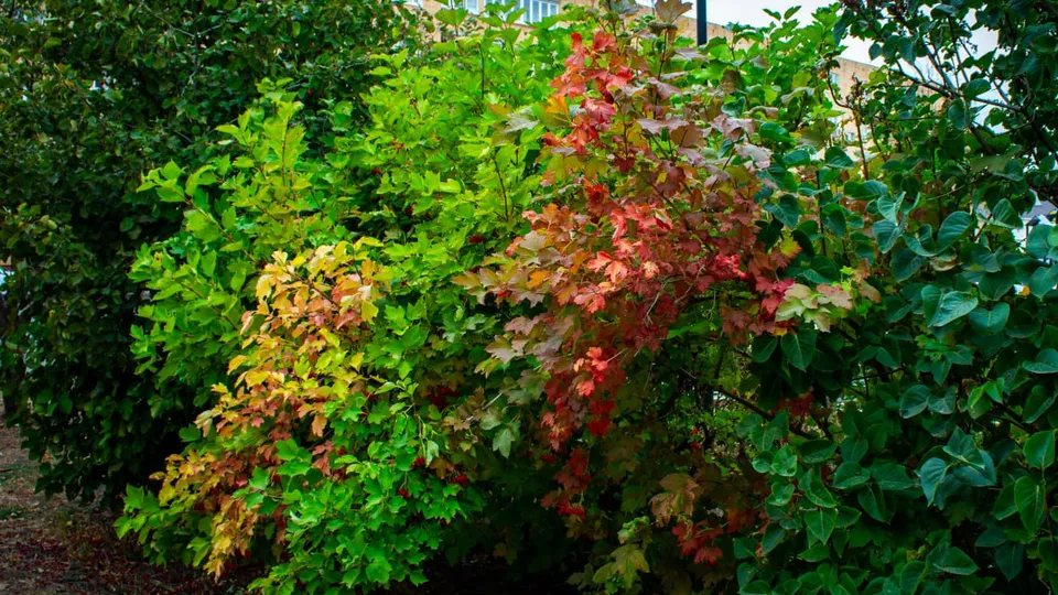 Фото: REGIONS/Дарья Кургузова