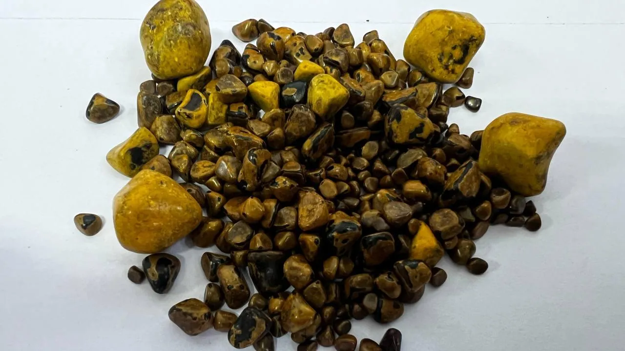 Фото: Пресс-служба Минздрава МО