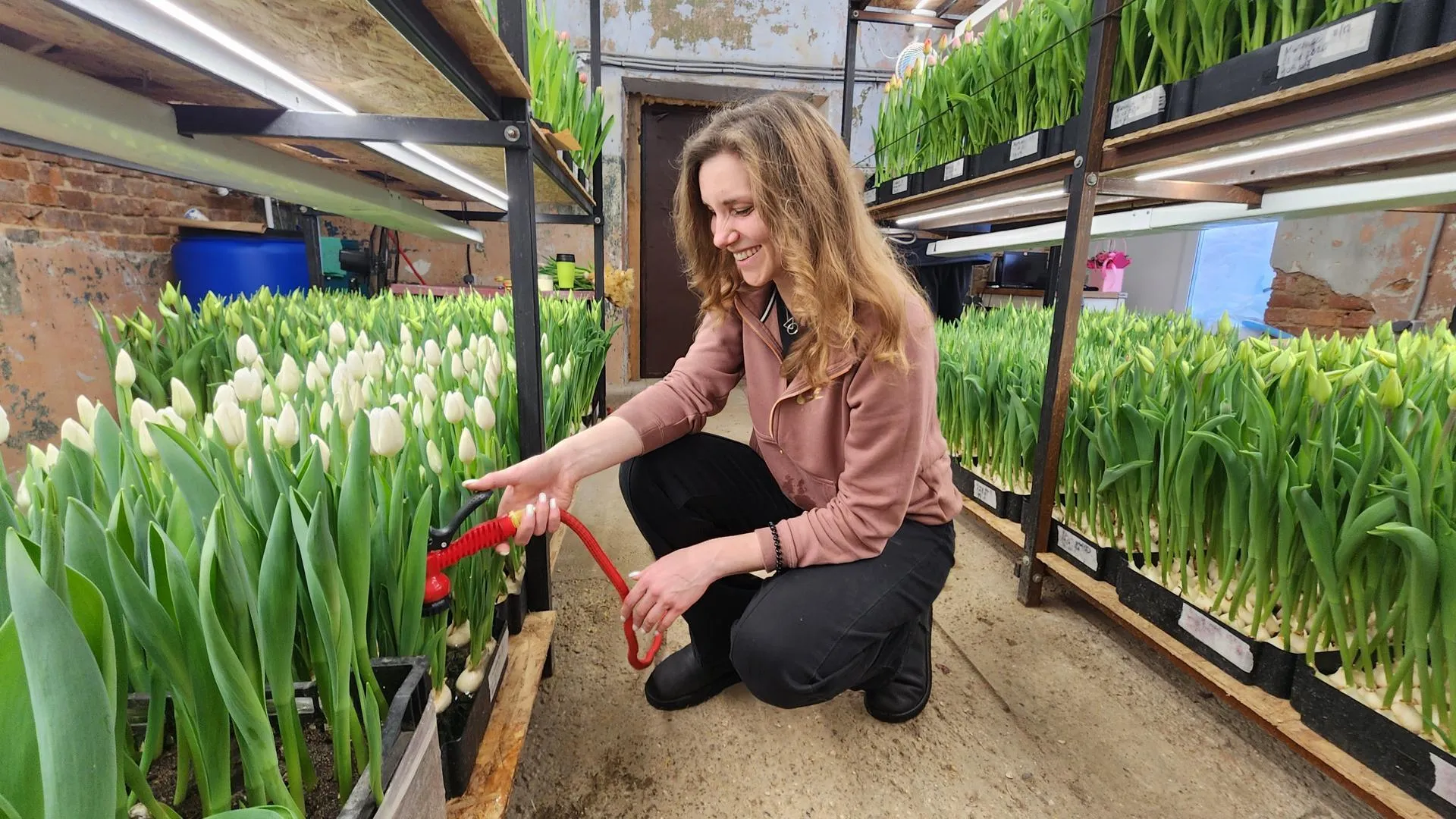 МедиаБанк Подмосковья/Екатерина Данилина