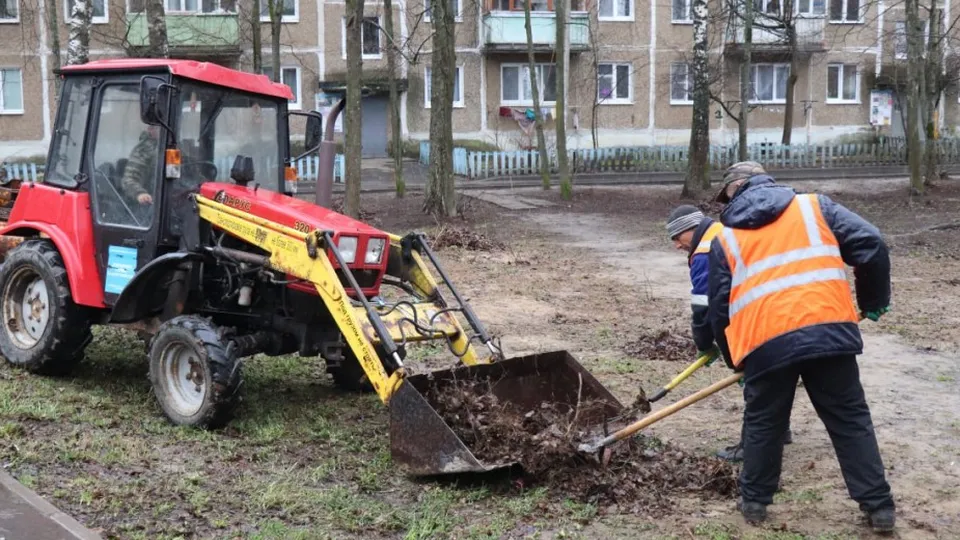 Фото: пресс-служба губернатора и правительства Московской области