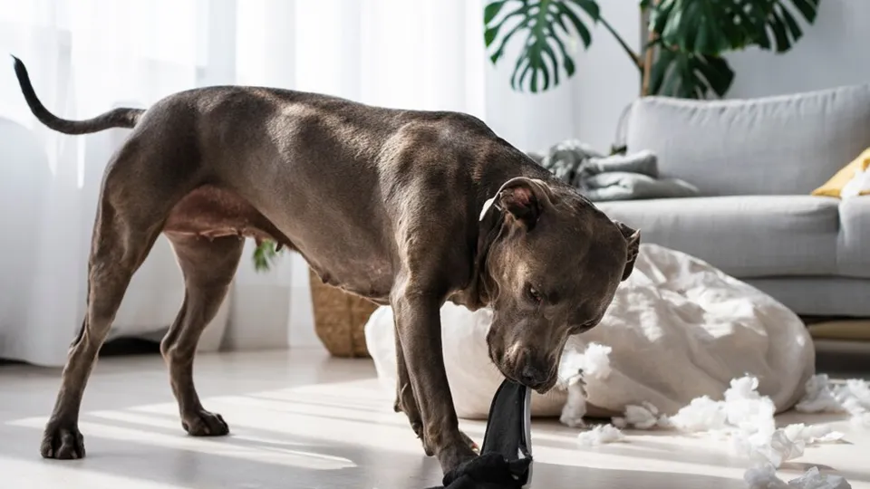 Фото: freepik.com