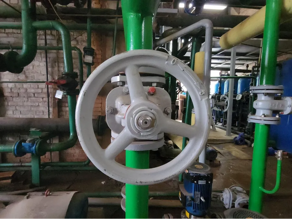 Фото: REGIONS/Артем Мишуков