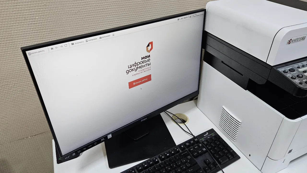 МедиаБанк Подмосковья/Вероника Горбачева