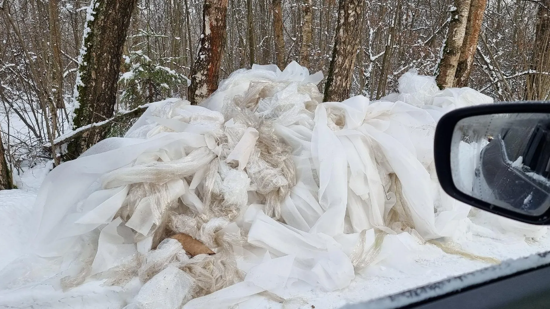 Фото: Подслушано | Истра / ВКонтакте