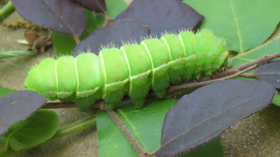 Фото: istockphoto.com/Christine_Kohler