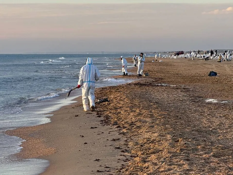 Фото: МедиаБанк Подмосковья/Из личного архива Елены Климоновой