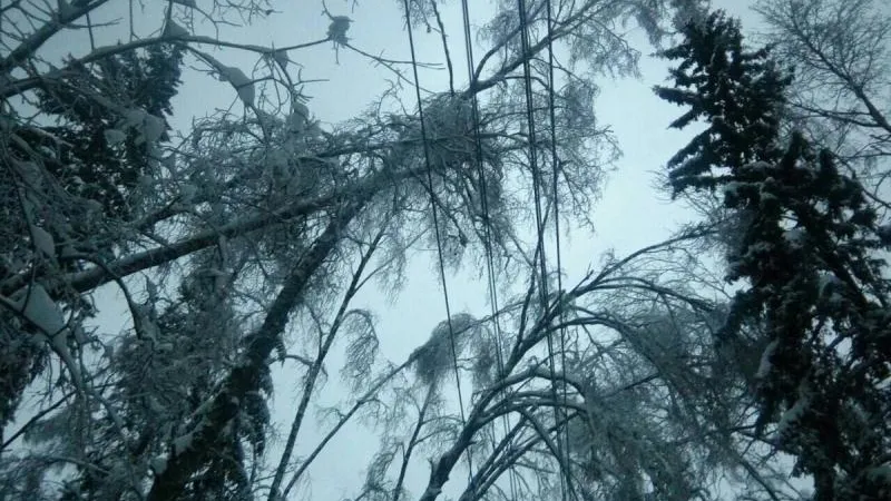 В Подмосковье восстановлено электроснабжение, нарушенное из-за непогоды
