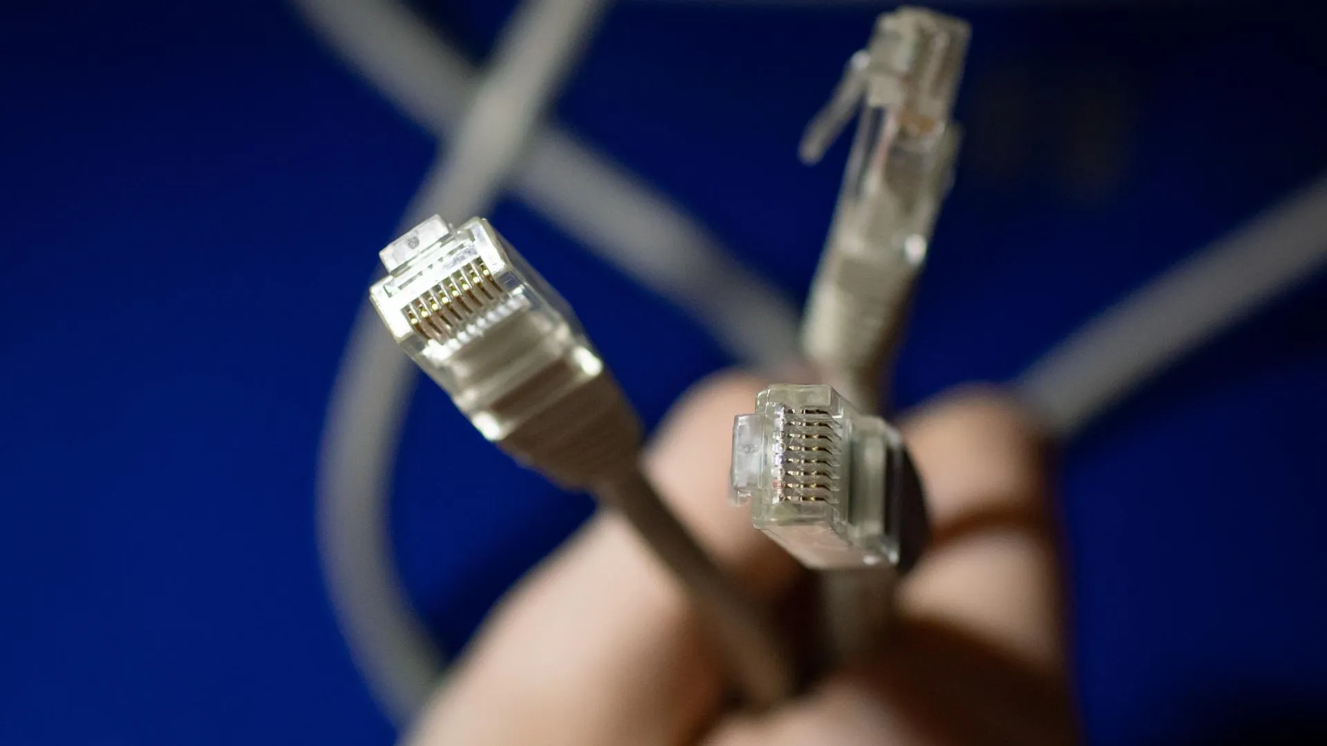 Oleg Spiridonov/Business Online