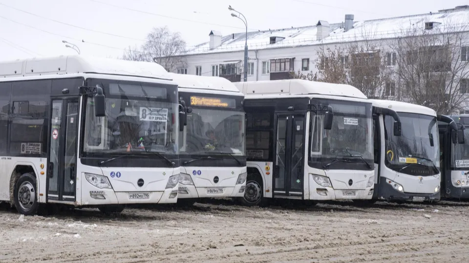 Фото: пресс-служба администрации г.о. Домодедово