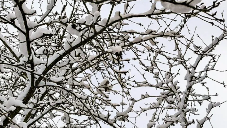 Фото: REGIONS/Роман Малышенко