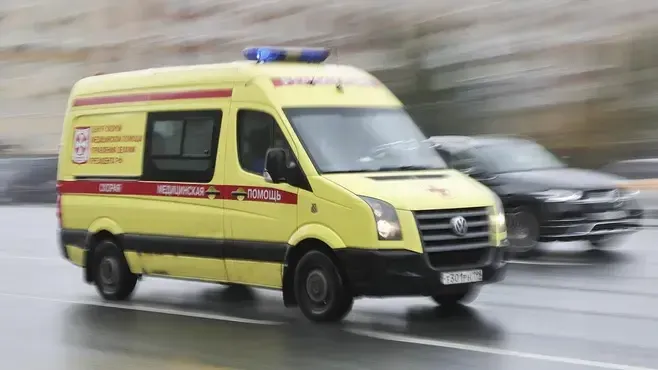 Фото: Софья Сандурская/ТАСС