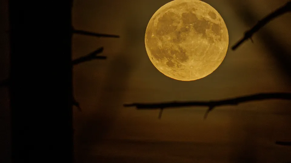 Фото: istockphoto.com/mike wolf