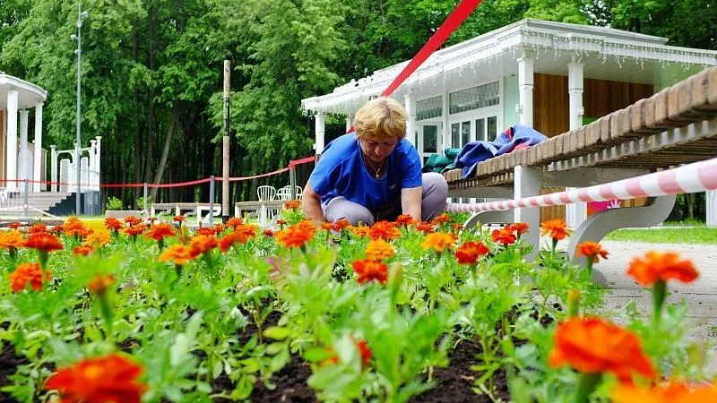 Пресс-служба администрации городского округа Воскресенск