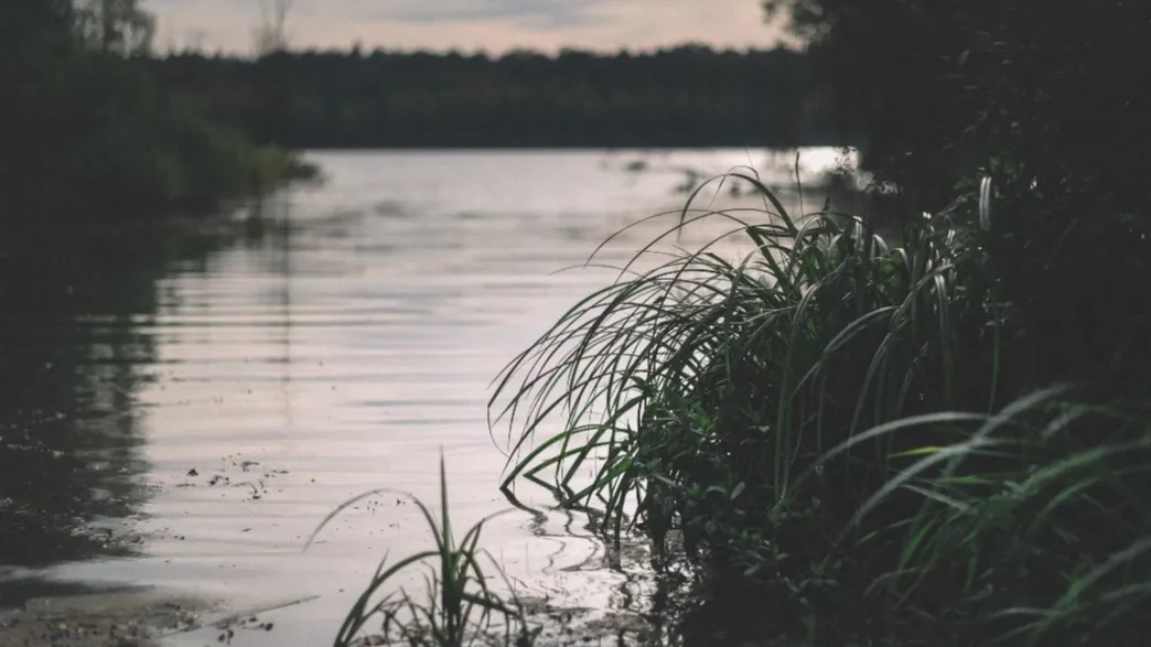 Фото: unsplash.com