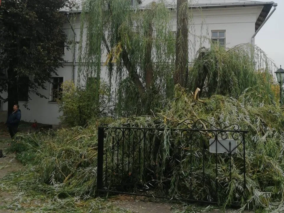 Фото: t.me/Inokini