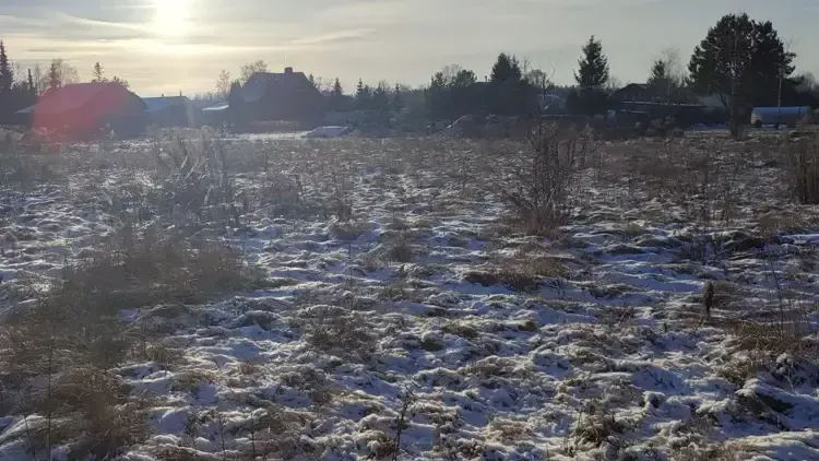 Единый портал торгов Московской области ЕАСУЗ