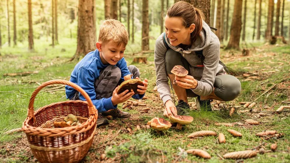 Фото: istockphoto.com