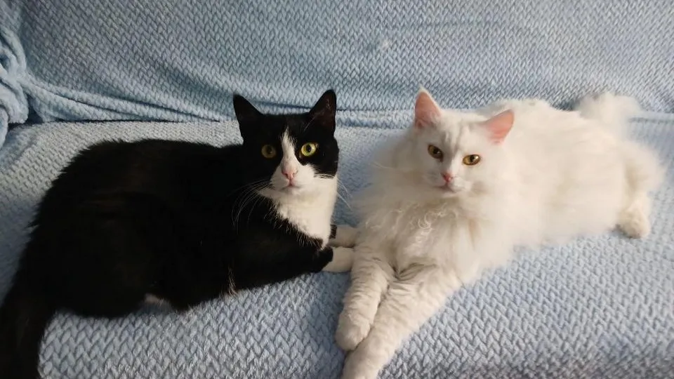 Фото: Гранель