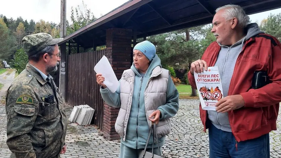 Фото: Комитет лесного хозяйства Московской области