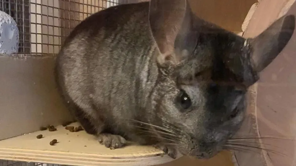 Фото: личный архив Владлены Сливневой