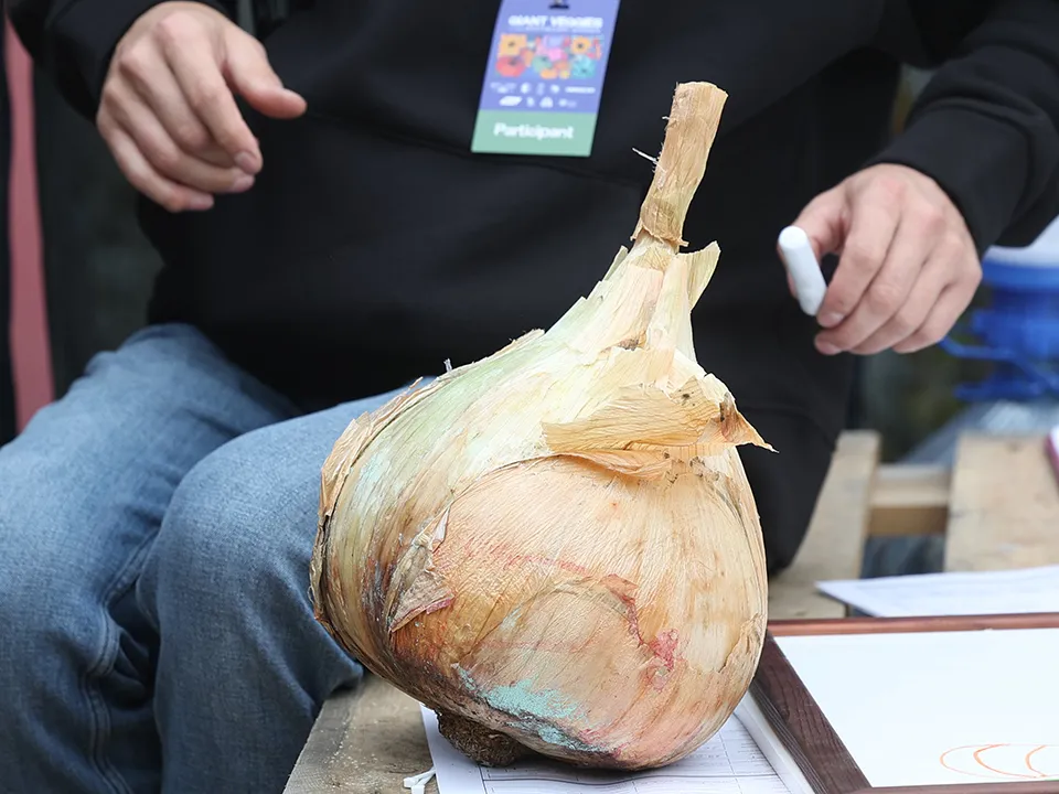 Фото: ТАСС/Софья Сандурская