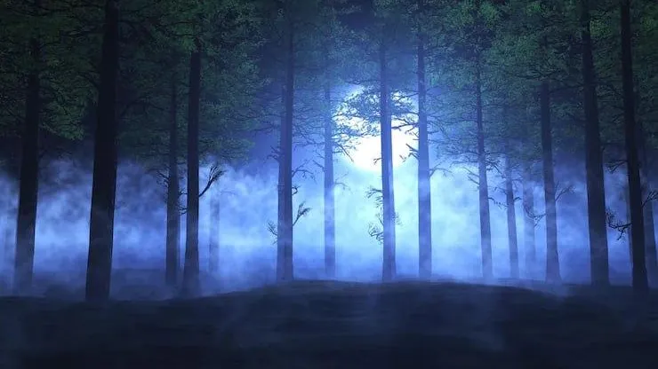 Фото: Freepik.com