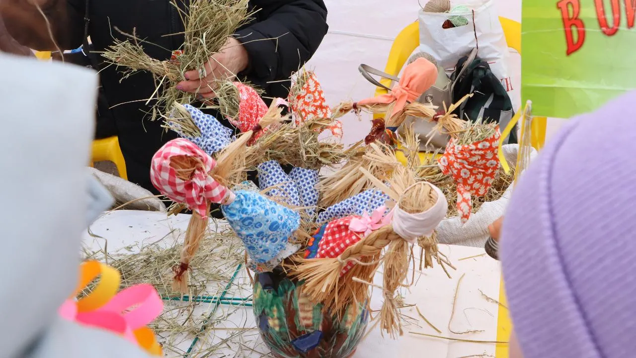 МедиаБанк Подмосковья/Ирина Матвеева