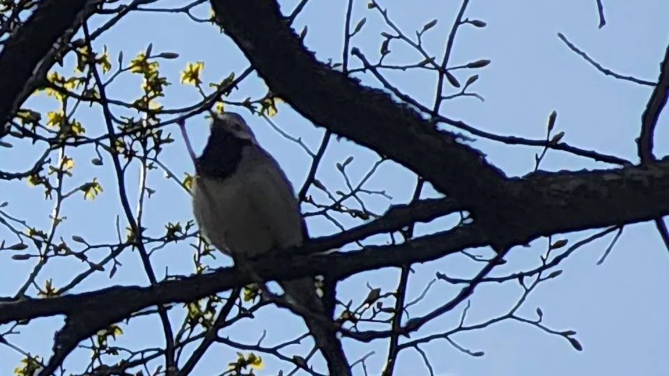 Фото: МедиаБанк Подмосковья/Андрей Семибратов