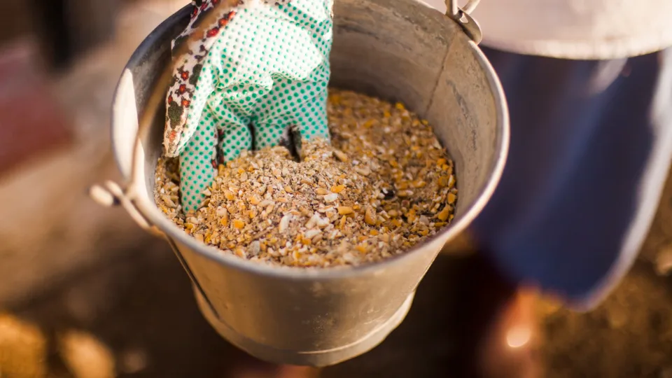 Фото: freepik.com