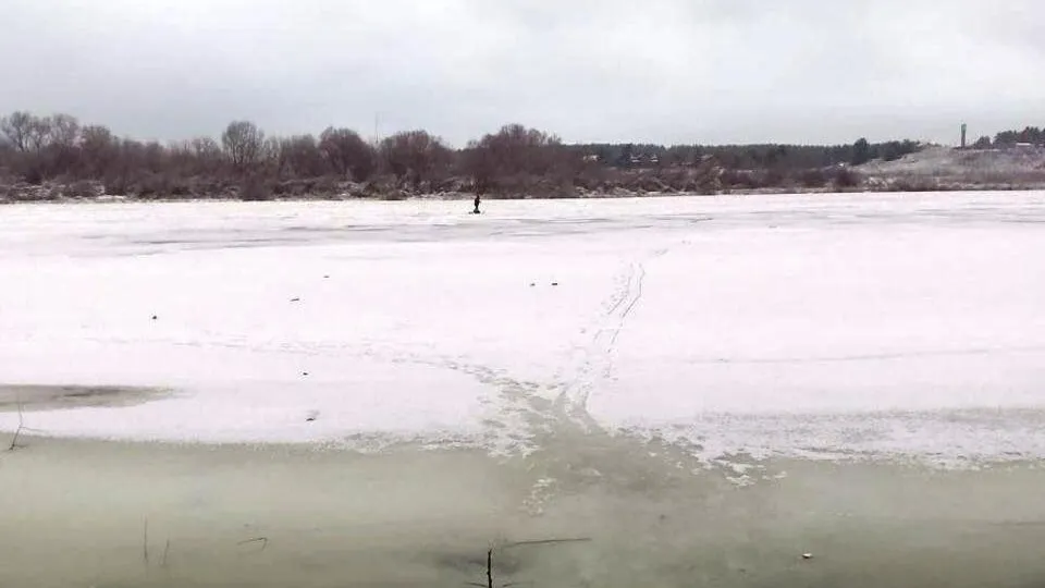 Фото: пресс-служба администрации г.о. Кашира