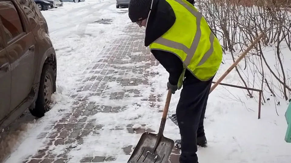 Фото: пресс-служба администрации г.о. Электросталь
