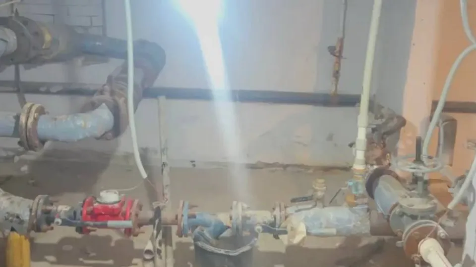 Фото: МедиаБанк Подмосковья/Ксения Афонина