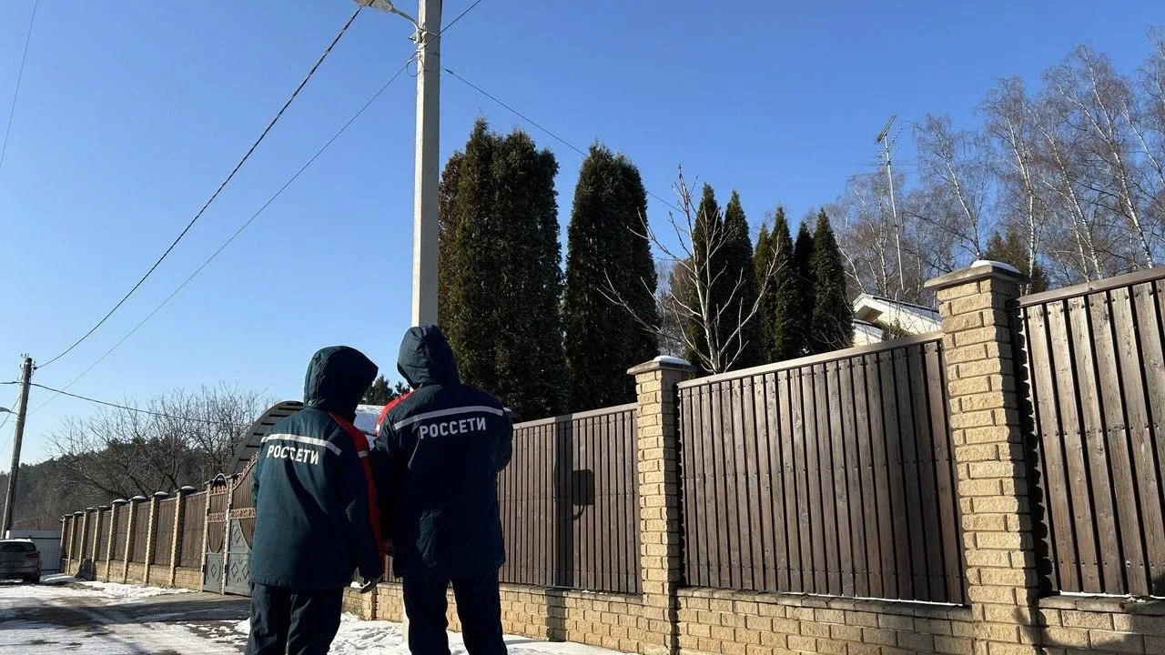 Фото: Россети Московский регион