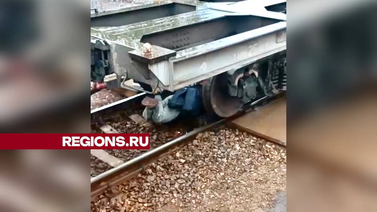 Фото: t.me/ru_balashiha