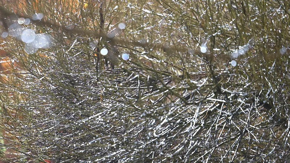 Фото: REGIONS/Ольга Пятикрестовская