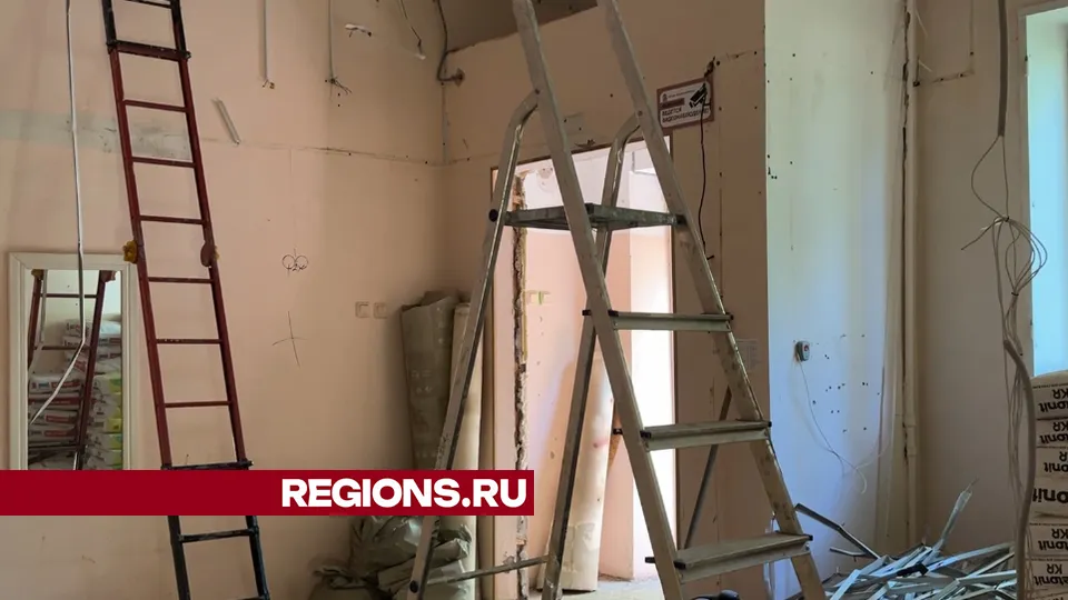 Фото: МедиаБанк Подмосковья/Валерия Ерофеева