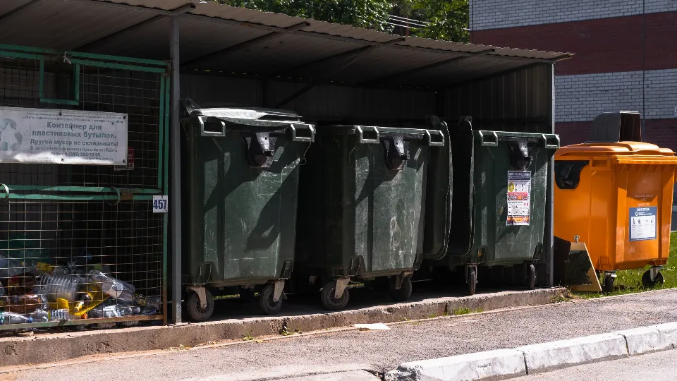 Фото: медиасток.рф