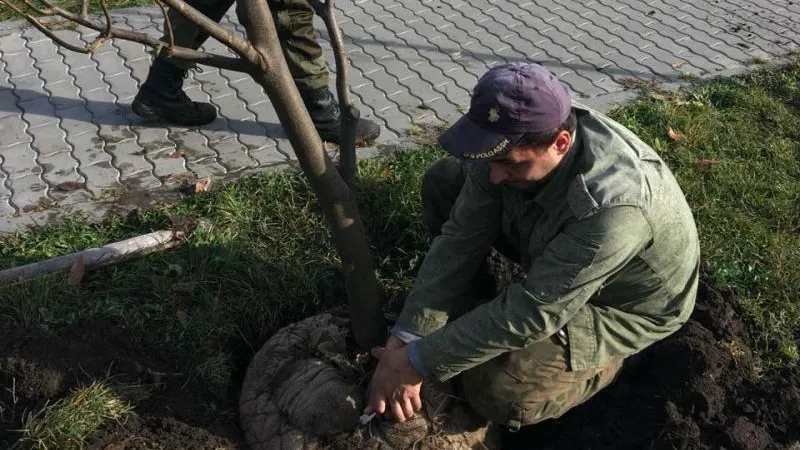 Алексей Оводов