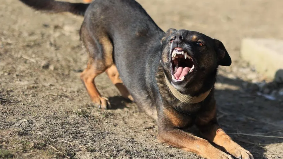 Фото: istockphoto.com