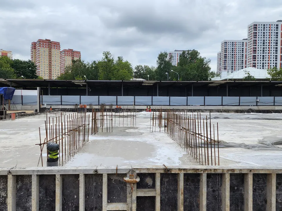 Фото: Ольга Фельдфебелева