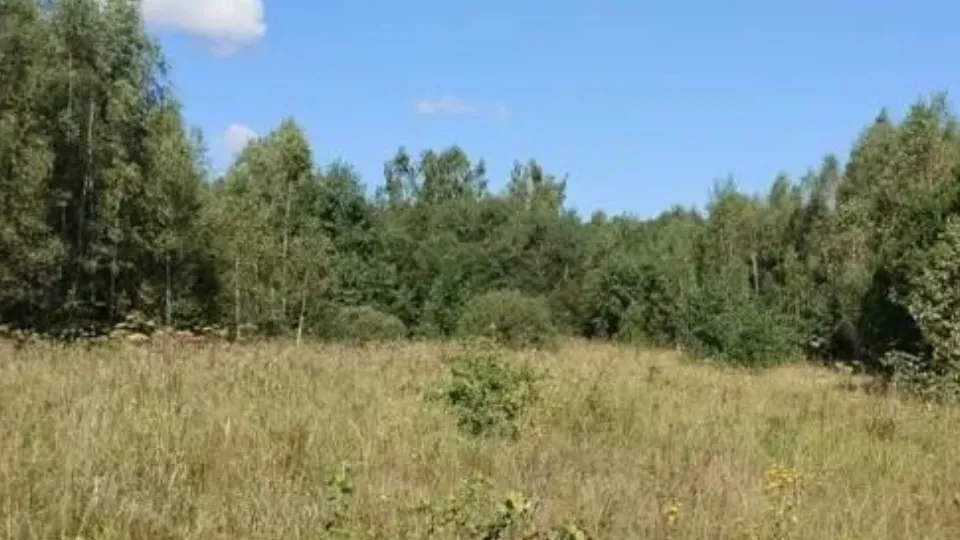 Фото: Комитет по конкурентной политике Московской области