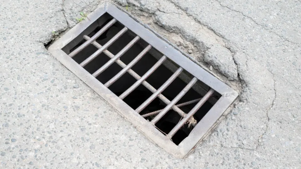 Фото: пресс-служба администрации г. о. Фрязино