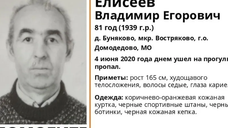 Группа «Лиза Алерт» в соцсети «ВКонтакте»