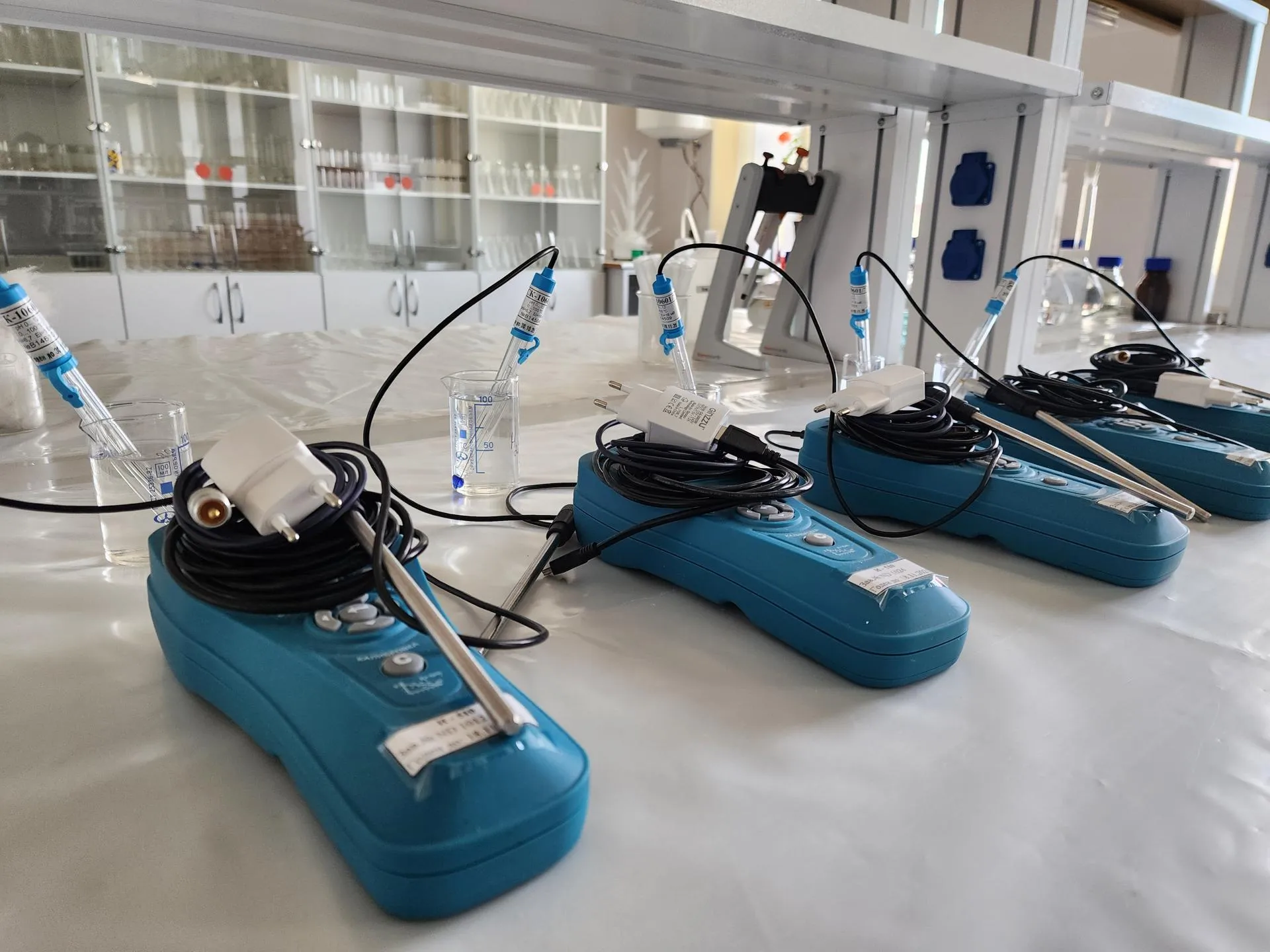 Фото: Ольга Аввакумова