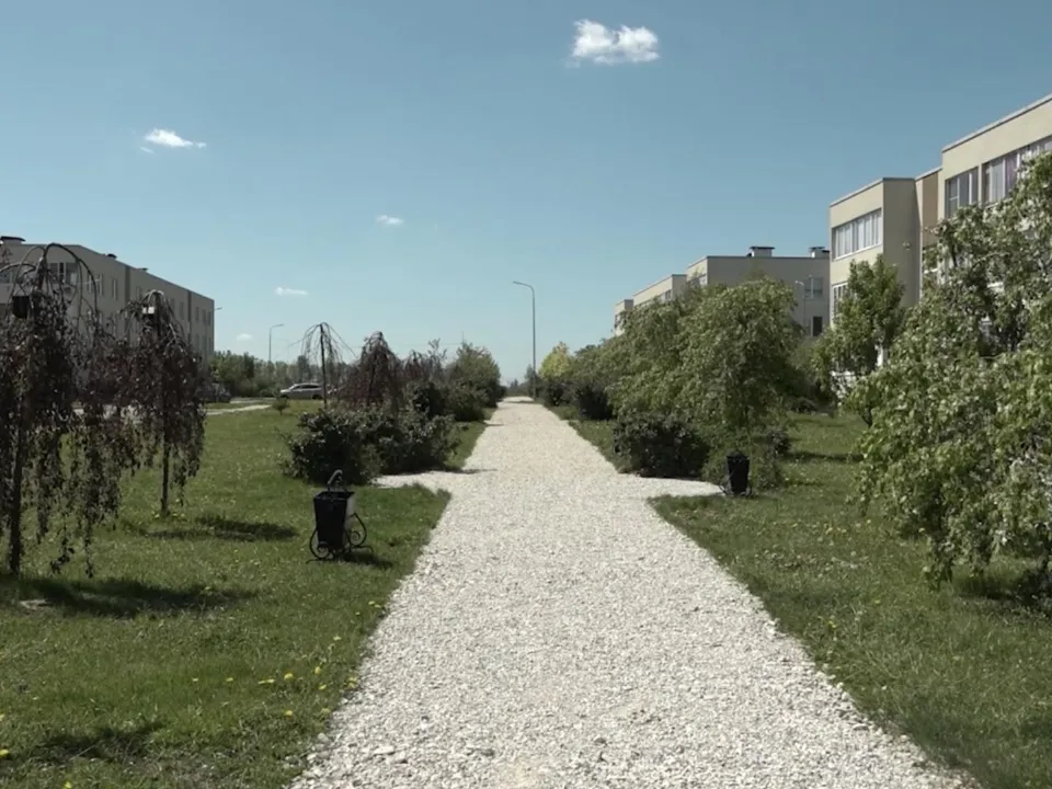 Фото: пресс-служба администрации г.о. Домодедово