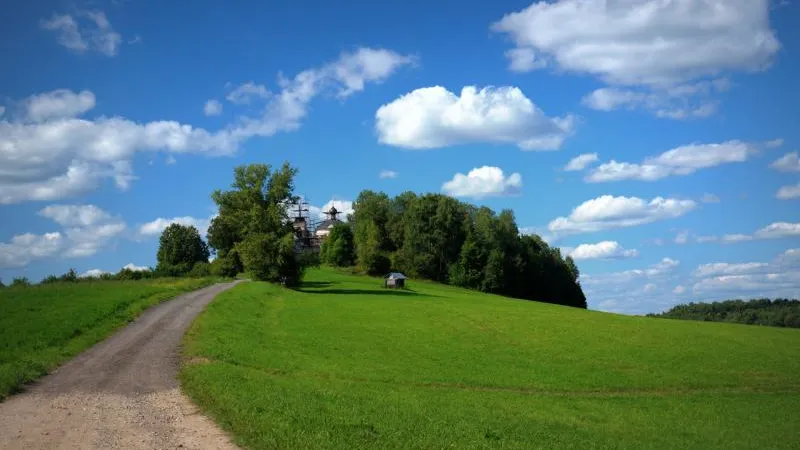 Село Горошково растеряло жителей, но полнится художниками
